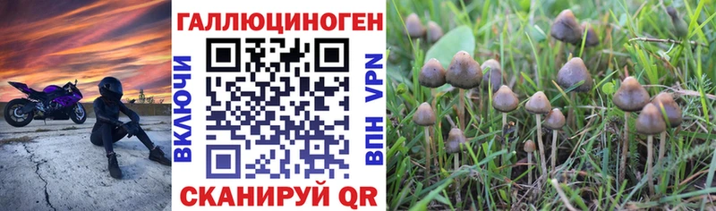 Галлюциногенные грибы Cubensis  где продают наркотики  дарк нет как зайти  Малоярославец 